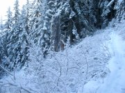 11.27.05 Nesmith Point 074